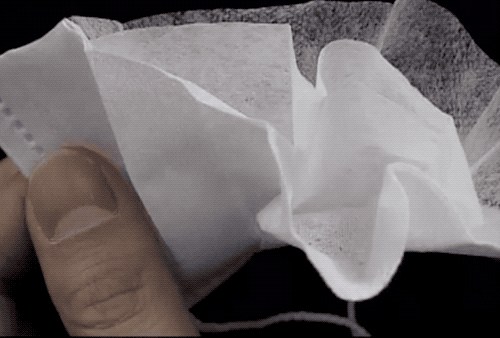 1635312736994791.gif